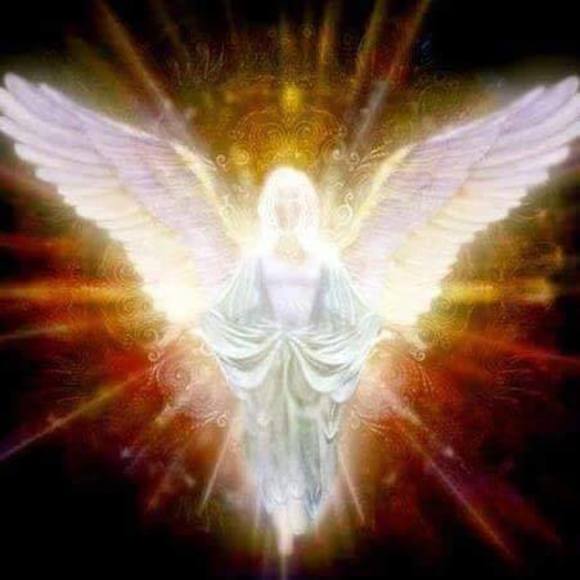 Meet your Posher, Dinorah - Picture 1 of 1